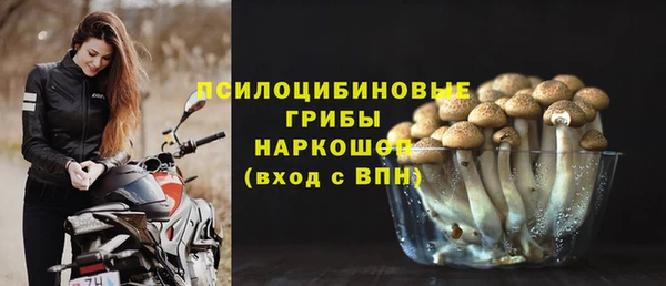 амф Вязники