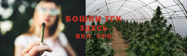 соль ск Вязьма