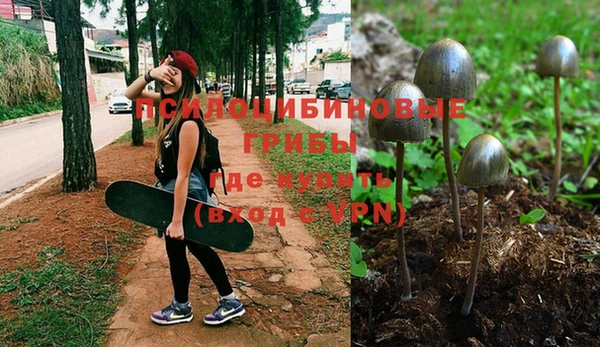 дживик Вяземский