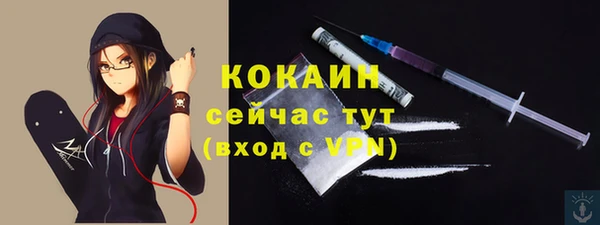 соль ск Вязьма