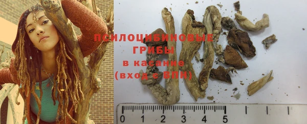 амф Вязники