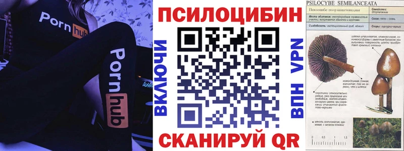 наркота  Покачи  Галлюциногенные грибы MAGIC MUSHROOMS 